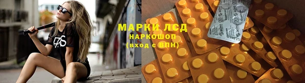 соль ск Арсеньев