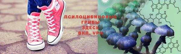 метамфетамин Аркадак