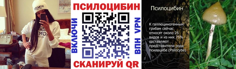 даркнет формула  Фролово  Галлюциногенные грибы Cubensis  цена  