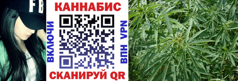 Бошки Шишки планчик Фролово